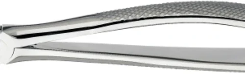 tanntang, diamantert