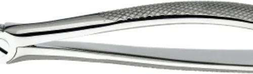 tanntang, diamantert