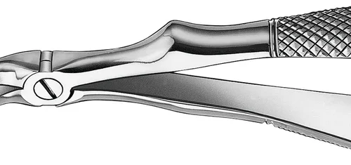 Barnetanntenger etter Klein