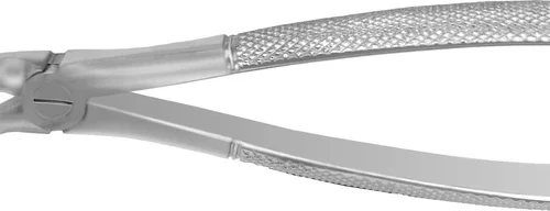 Tanntenger overkjeve