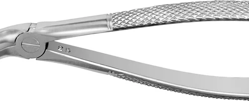 Tanntenger overkjeve