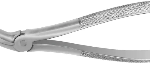 Tanntenger overkjeve