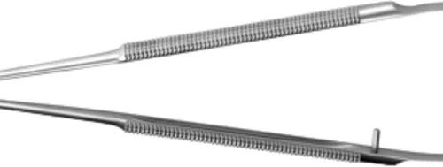 Vevssaks etter Gomel