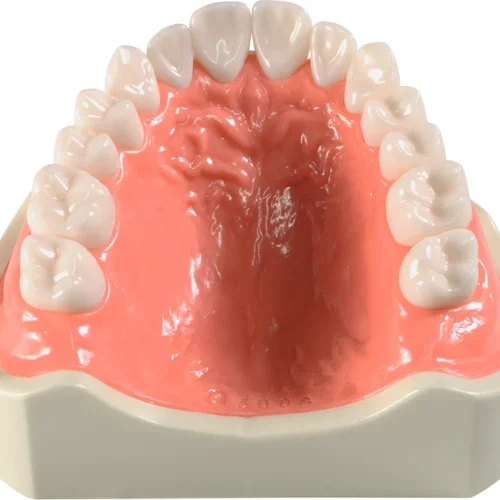Overkjevemodell E50H-500 AU