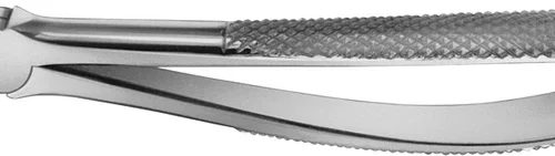 Anatomica-tanntenger