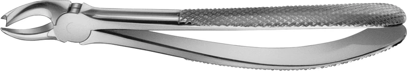 Anatomica-tanntenger