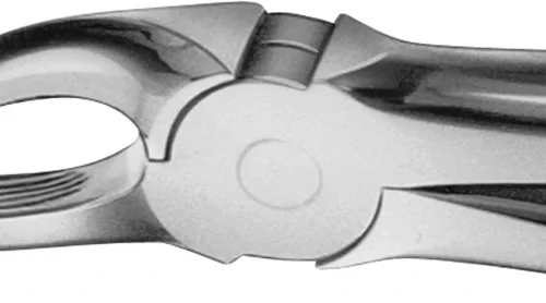 Anatomica-tanntenger