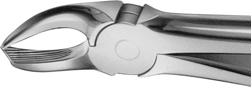 Anatomica-tanntenger