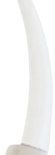 Silagum intraorale tips