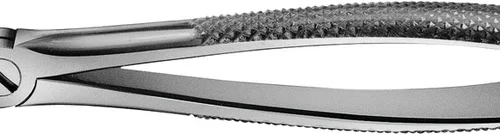 Anatomica tanntang etter Büchs