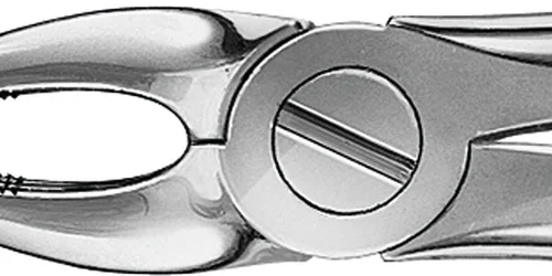 Anatomica-tanntenger etter Büchs