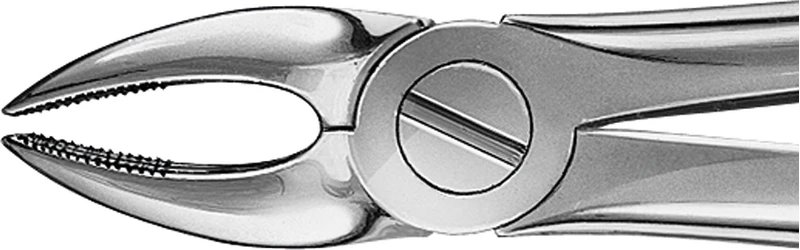 Anatomica-tanntenger etter Büchs