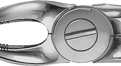 Anatomica tanntang etter Büchs