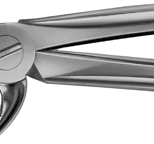 Anatomica tanntang etter Büchs