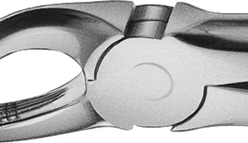 Anatomica tanntang etter Büchs