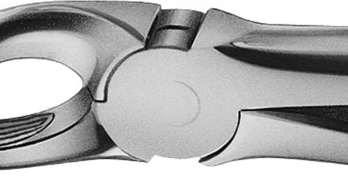 Anatomica-tanntenger etter Büchs