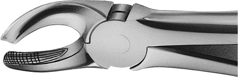 Anatomica-tanntenger etter Büchs