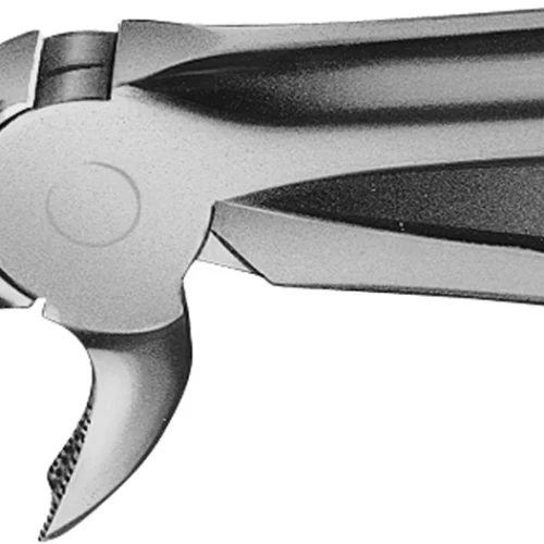 Anatomica tanntang etter Büchs