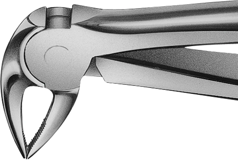 Anatomica-tanntenger etter Büchs