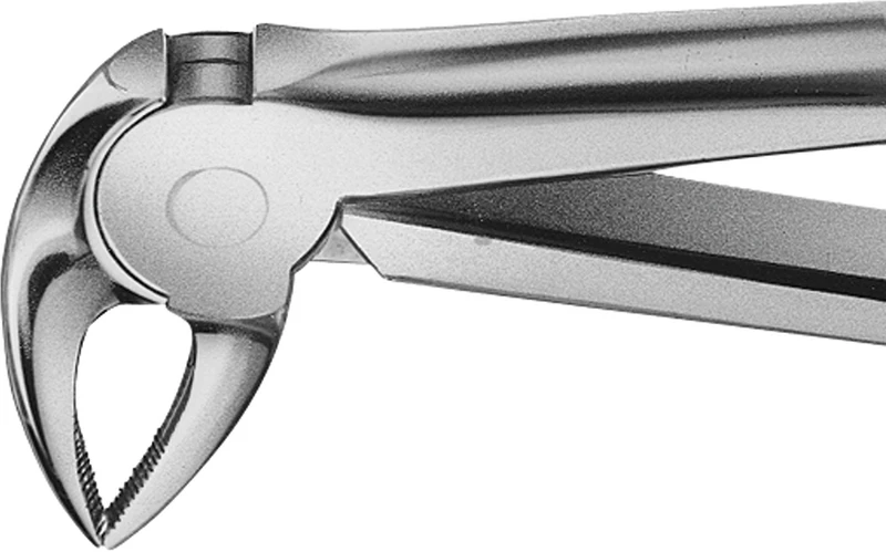 Anatomica-tanntenger etter Büchs