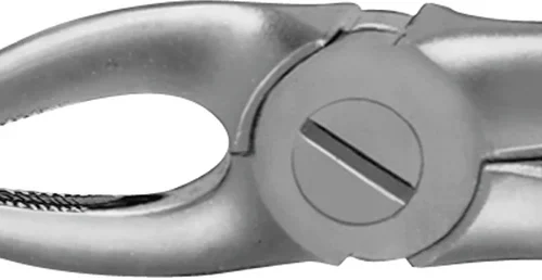 Anatomica-tanntenger etter Büchs