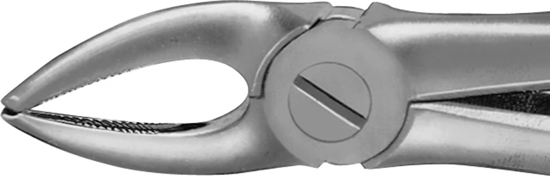 Anatomica-tanntenger etter Büchs