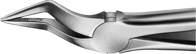 Anatomica-tanntenger etter Büchs