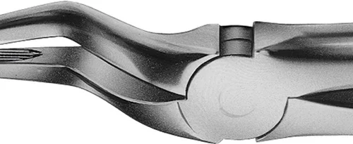 Anatomica-tanntenger etter Büchs