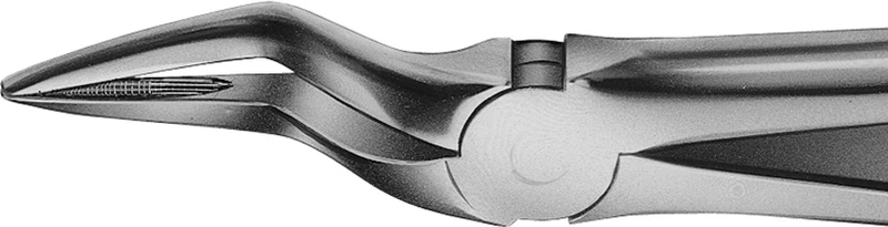 Anatomica-tanntenger etter Büchs