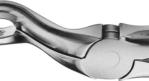 Anatomica tanntang etter Büchs