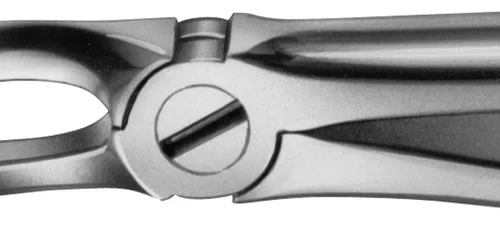 Anatomica-tanntenger etter Büchs