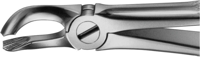 Anatomica-tanntenger etter Büchs