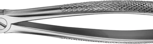 Anatomica-tanntenger