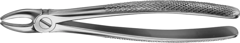 Anatomica-tanntenger