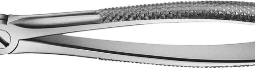 Anatomica-tanntenger