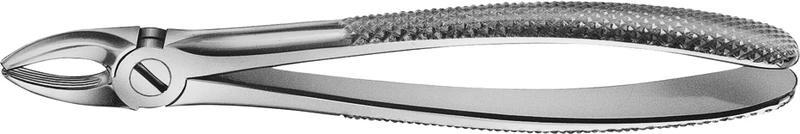 Anatomica-tanntenger