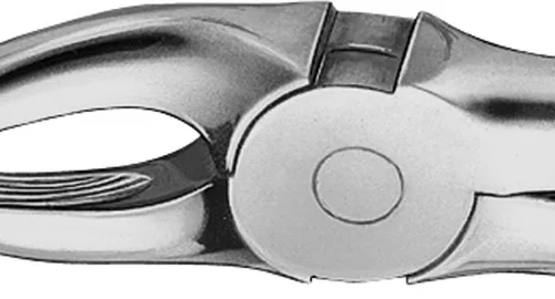 Anatomica-tanntenger