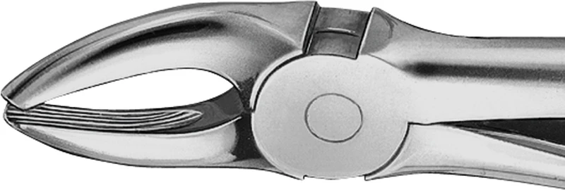 Anatomica-tanntenger