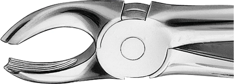 Anatomica-tanntenger