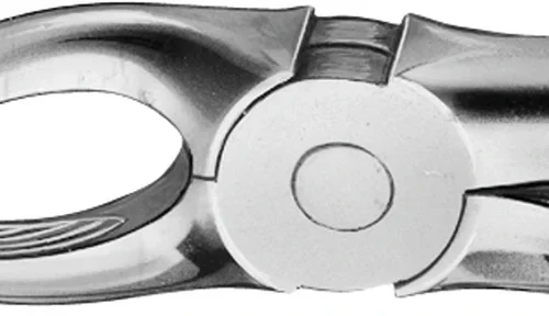 Anatomica-tanntenger