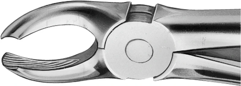 Anatomica-tanntenger