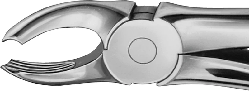 Anatomica-tanntenger