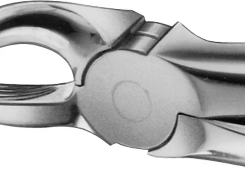 Anatomica-tanntenger