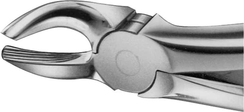 Anatomica-tanntenger