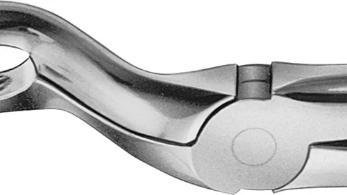 Anatomica-tanntenger