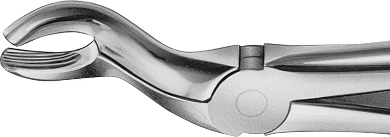 Anatomica-tanntenger