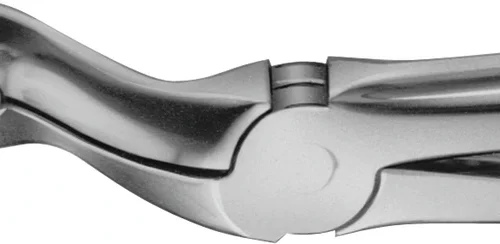 Anatomica-tang etter Felsch