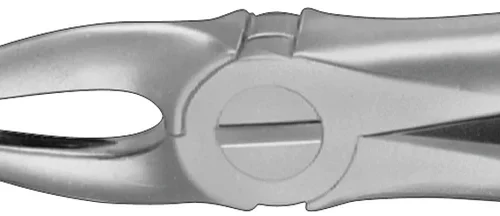 Anatomica tannklyper etter Kaiser