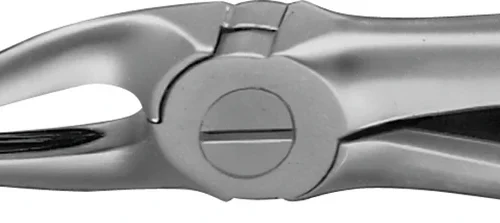 Anatomica-tanntenger