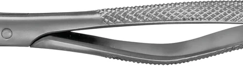 Anatomica-tenger etter Read